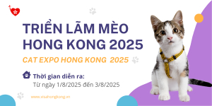 Hong Kong Cat Expo 2025 – Trở Về Ai Cập Cổ Đại Cùng “Hoàng Thượng”